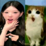 SnowMeyUtaus