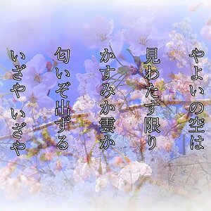 "Sakura Sakura" traditional Japanese arranged by nozomimatuki