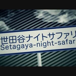 Setagaya Night Safari - MikitoP