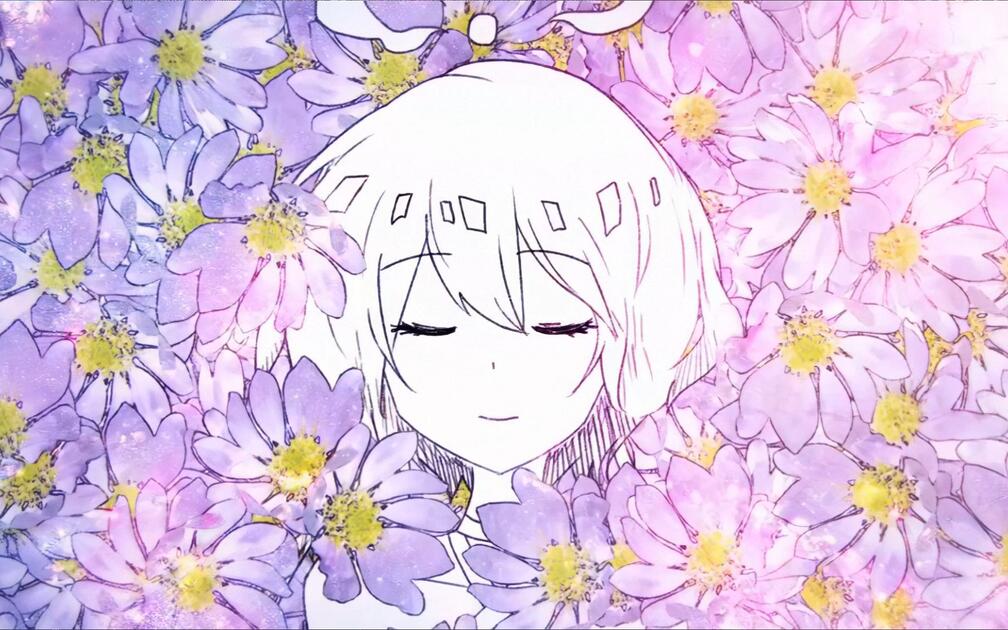 www.bilibili.com
