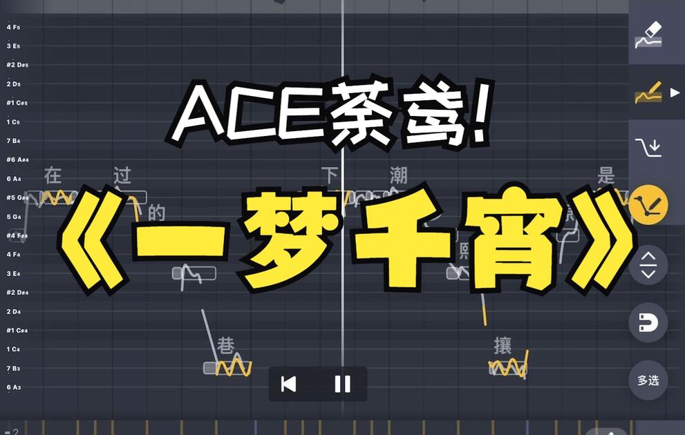 www.bilibili.com